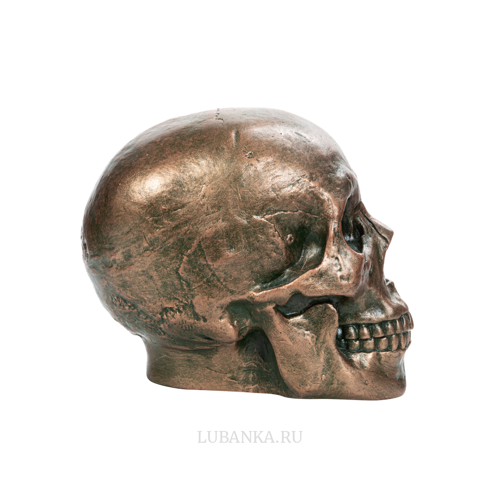 Статуэтка для интерьера «Череп человека»
