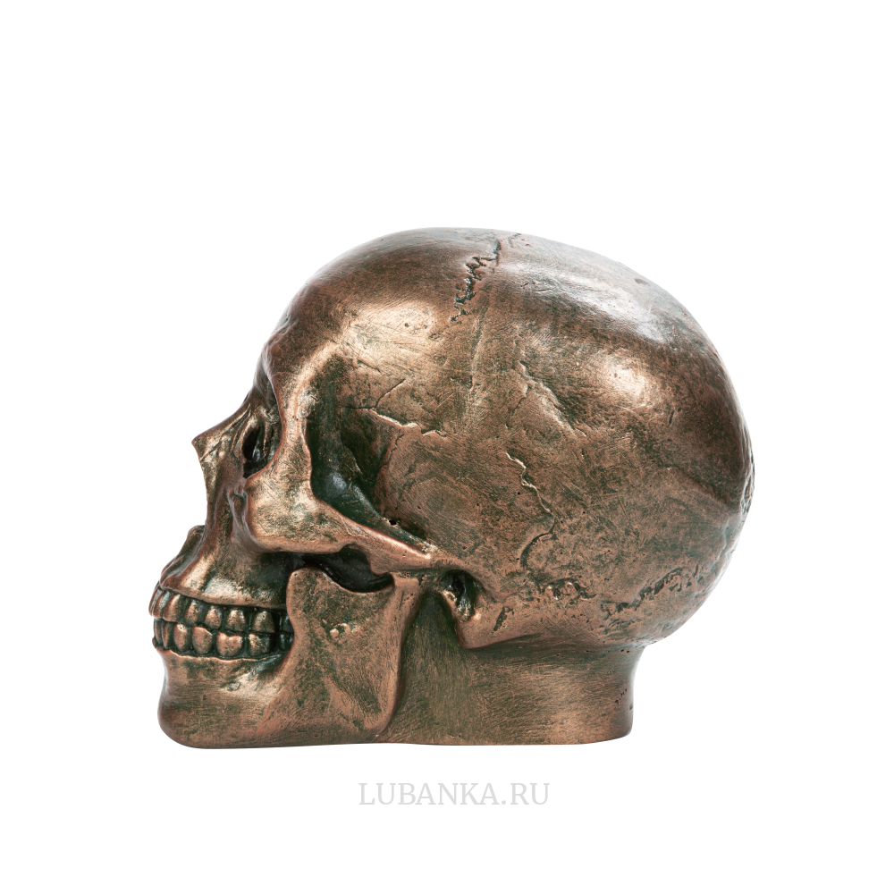 Статуэтка для интерьера «Череп человека»