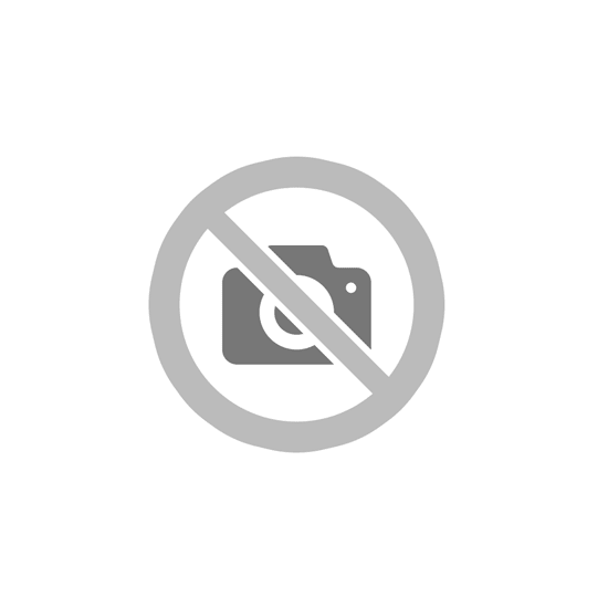 Заколка Герб России серебро